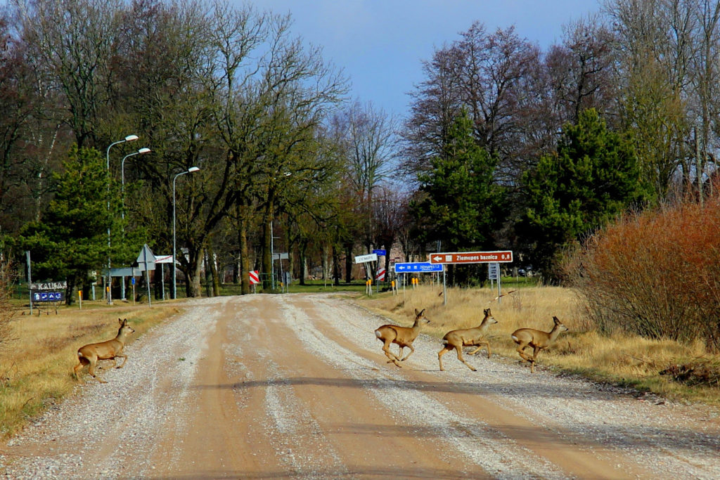 Tours to Kurzeme, Latvia