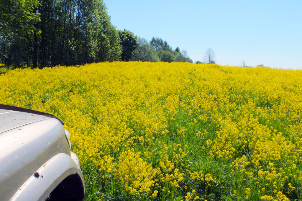 Overlanding Tours in Latvia