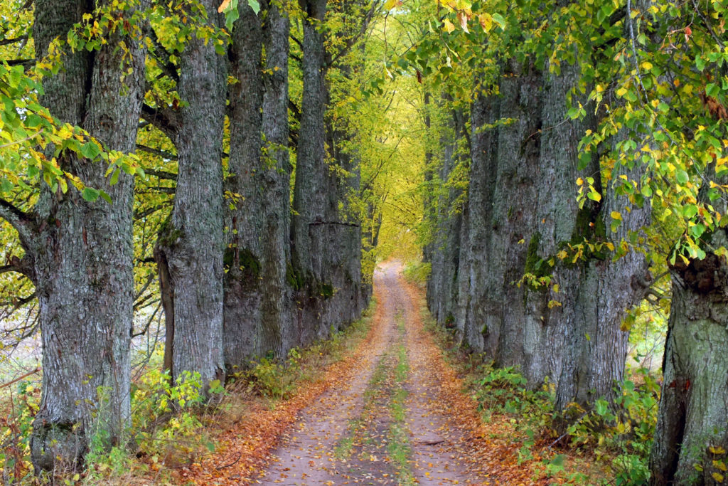 Overlanding Tours in Latvia