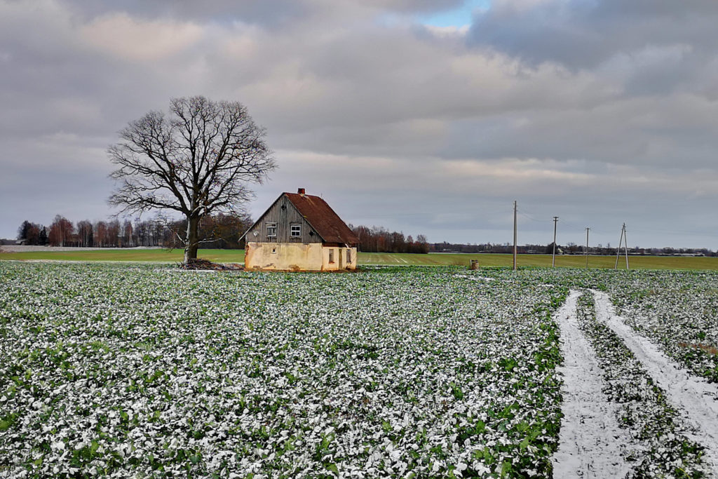 Beautiful Country side of Latvia