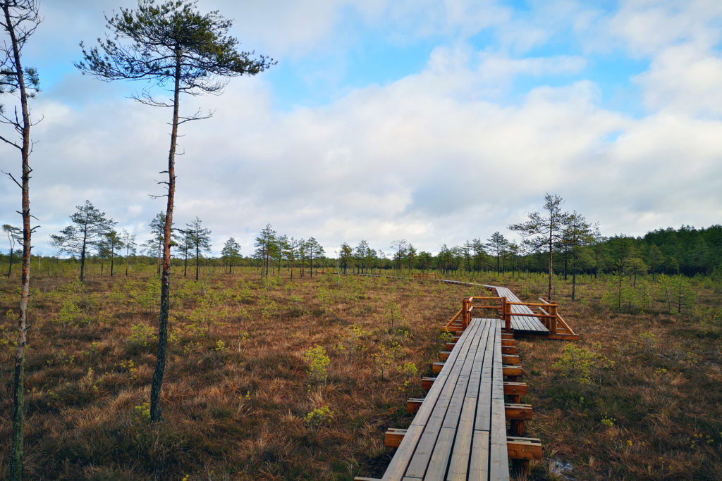 Beautiful Country side of Latvia