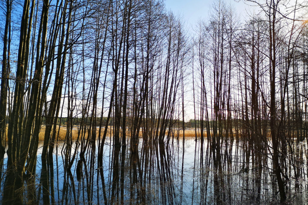 Beautiful Country side of Latvia